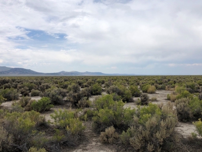 Nevada Residential Recreational Hunting Land For Sale Washoe - image 1