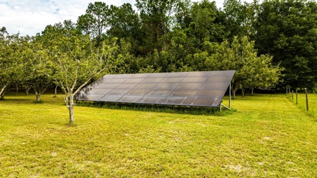 Country living in High Springs, FL - image 28