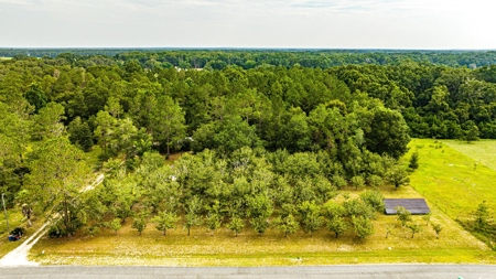 Country living in High Springs, FL - image 4