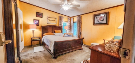 Country living in High Springs, FL - image 22