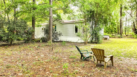 Country living in High Springs, FL - image 14
