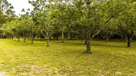 Country living in High Springs, FL - image 10