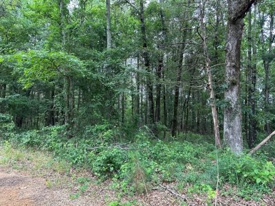 Lincoln County Land For Sale!!! - image 4