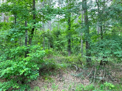 Lincoln County Land For Sale!!! - image 5