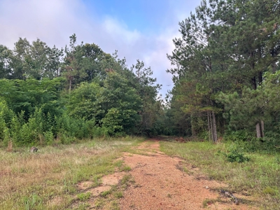 Lincoln County Land For Sale!!! - image 1