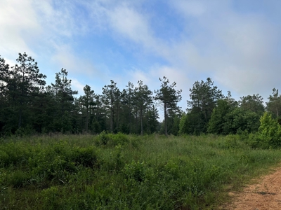 Lincoln County Land For Sale!!! - image 3