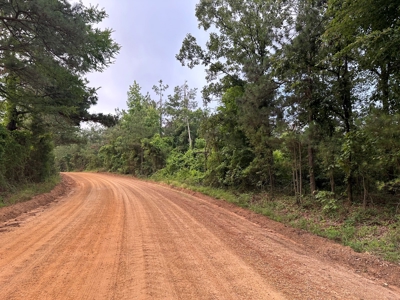Lincoln County Land For Sale!!! - image 2
