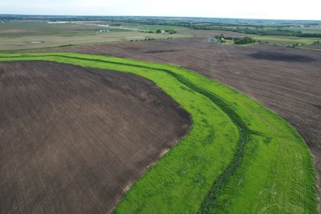 Dallas County Iowa Farmland Auction - image 6