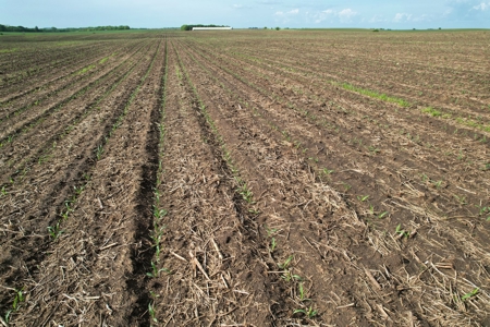 Dallas County Iowa Farmland Auction - image 41