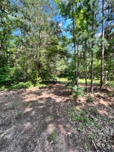 East Texas Recreational Property - image 6
