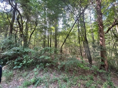 East Texas Recreational Property - image 2