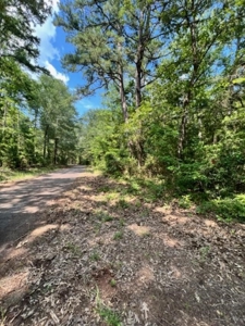 East Texas Recreational Property - image 7