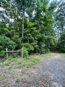 East Texas Recreational Property - image 11