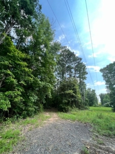 East Texas Recreational Property - image 10