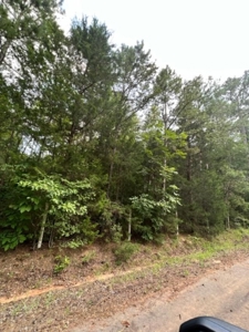 East Texas Recreational Property - image 9