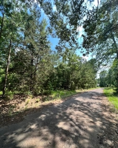 East Texas Recreational Property - image 5