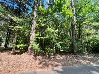 East Texas Recreational Property - image 3