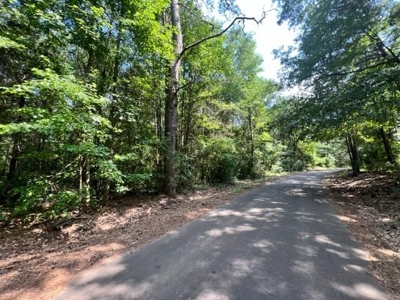 East Texas Recreational Property - image 4