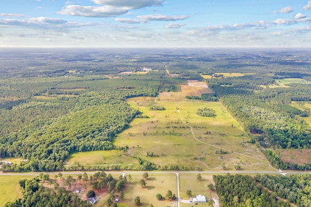 10 Acres For Sale Near Gainesville! - image 4