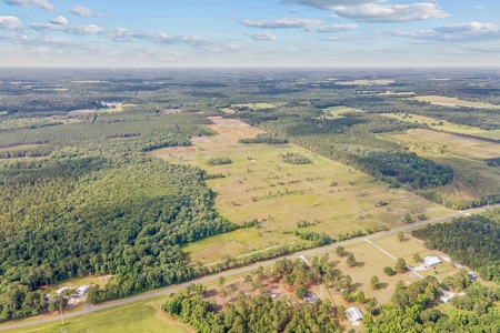 10 Acres For Sale Near Gainesville! - image 2