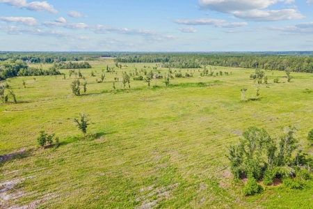 10 Acres For Sale Near Gainesville! - image 8