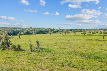 10 Acres For Sale Near Gainesville! - image 9