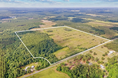 10 Acres For Sale Near Gainesville! - image 1