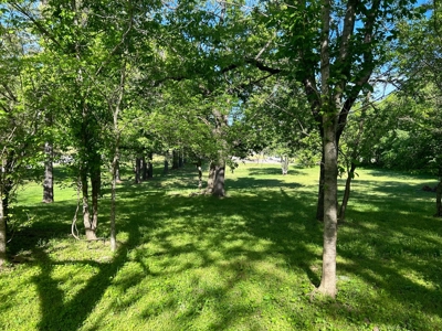 Historic Victorian Home For Sale In Evening Shade, Arkansas - image 20