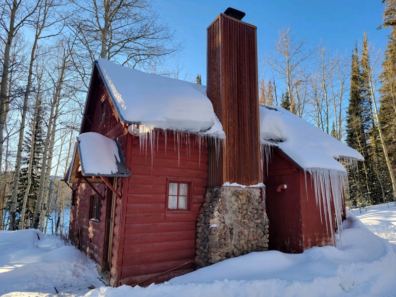 Fish Cabin 