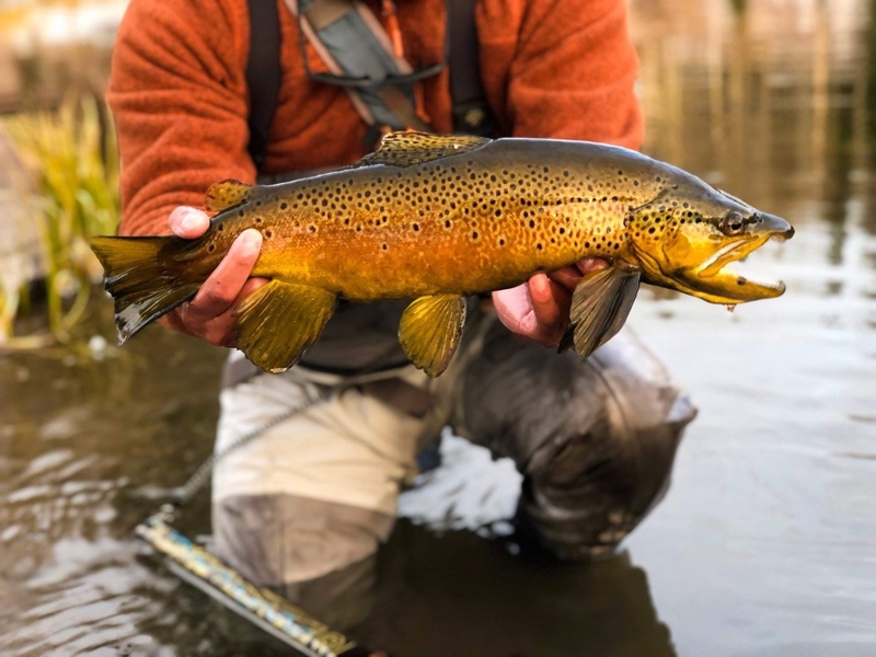 Mesa Lakes Fishing Lodge for Sale 