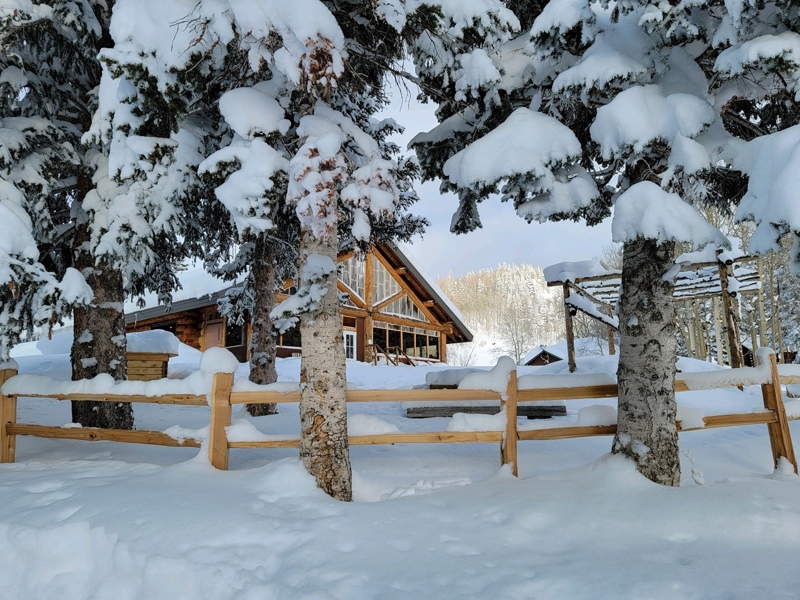 Winter Lodge For Sale 