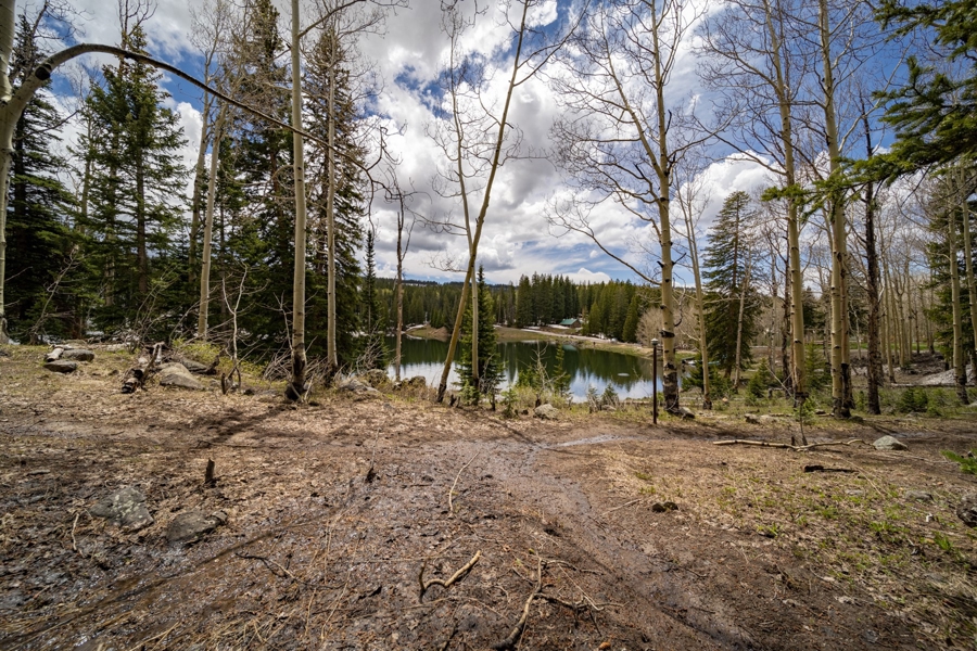 Views of Bever Lake 