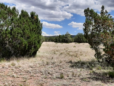 Beautiful Northern AZ Off Grid 36 acre parcel. - image 11