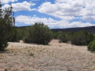 Beautiful Northern AZ Off Grid 36 acre parcel. - image 9