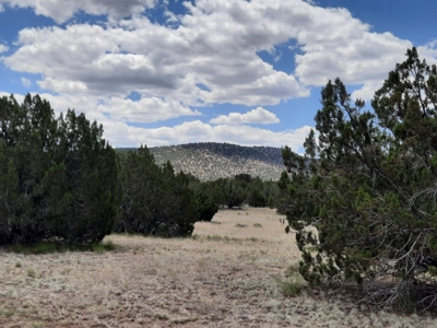 Beautiful Northern AZ Off Grid 36 acre parcel. - image 4