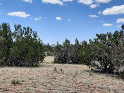 Beautiful Northern AZ Off Grid 36 acre parcel. - image 14