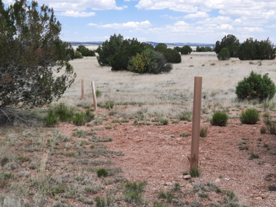 Beautiful Northern AZ Off Grid 36 acre parcel. - image 5