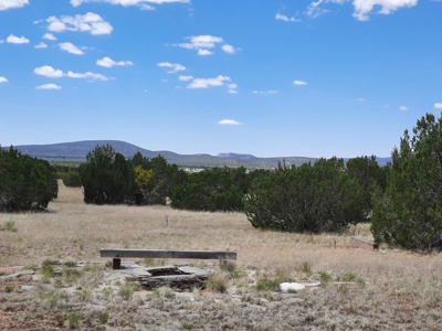 Beautiful Northern AZ Off Grid 36 acre parcel. - image 3