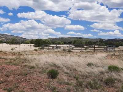 Beautiful Northern AZ Off Grid 36 acre parcel. - image 22
