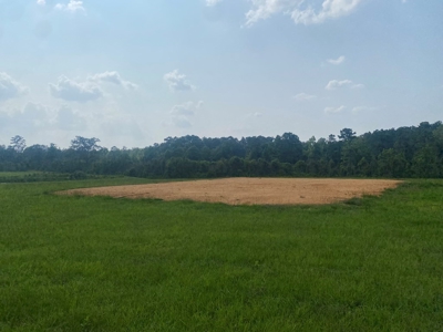 34.9 Acres Lincoln County, MS Pasture Property For Sale - image 12
