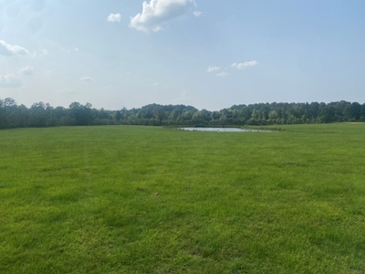 34.9 Acres Lincoln County, MS Pasture Property For Sale - image 16