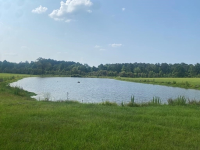 34.9 Acres Lincoln County, MS Pasture Property For Sale - image 21
