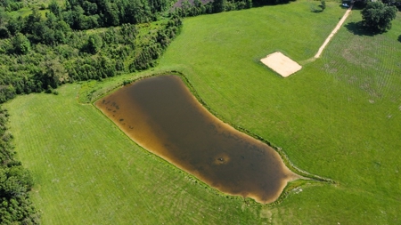 34.9 Acres Lincoln County, MS Pasture Property For Sale - image 22