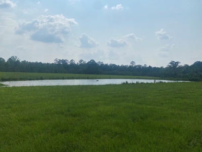 34.9 Acres Lincoln County, MS Pasture Property For Sale - image 15