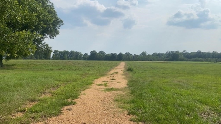 34.9 Acres Lincoln County, MS Pasture Property For Sale - image 10