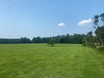 34.9 Acres Lincoln County, MS Pasture Property For Sale - image 17