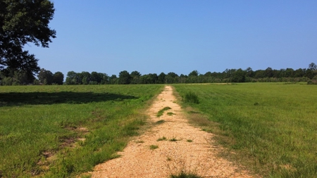34.9 Acres Lincoln County, MS Pasture Property For Sale - image 18