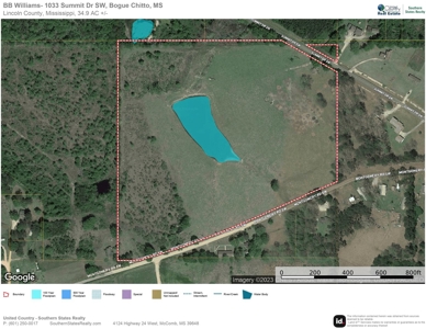 34.9 Acres Lincoln County, MS Pasture Property For Sale - image 3