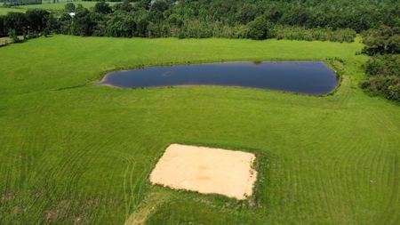 34.9 Acres Lincoln County, MS Pasture Property For Sale - image 19