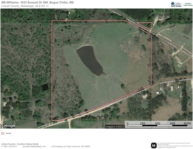 34.9 Acres Lincoln County, MS Pasture Property For Sale - image 2